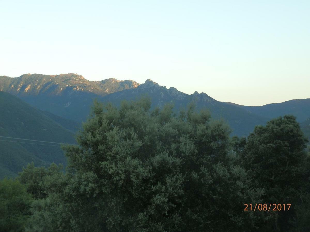 Villa Calme Et Detente Montbolo Bagian luar foto